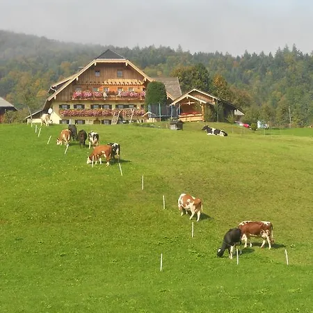 Paulbauer Фермерский дом *