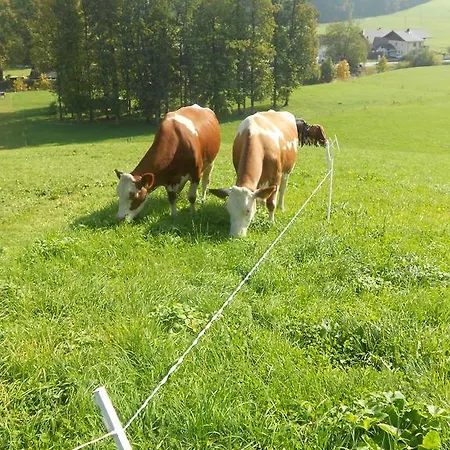 Paulbauer Séjour à la ferme