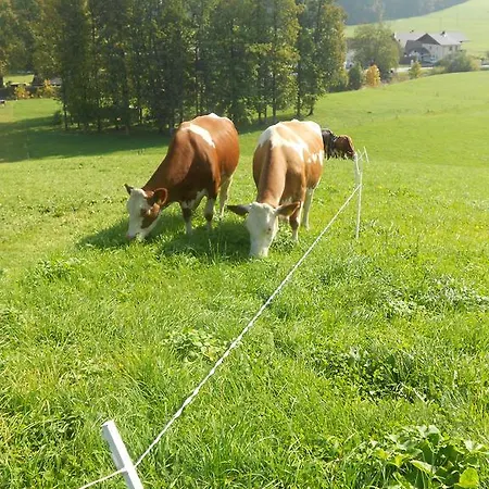 Paulbauer Farm stay