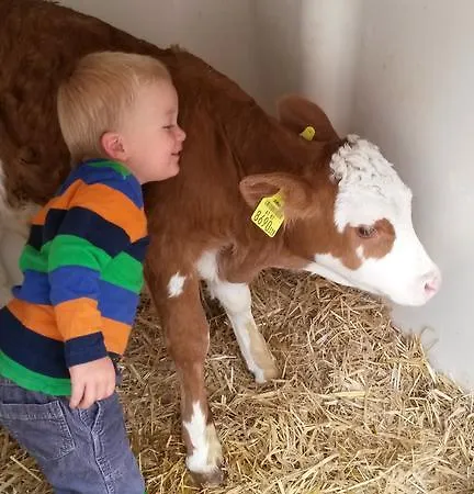 Paulbauer Séjour à la ferme