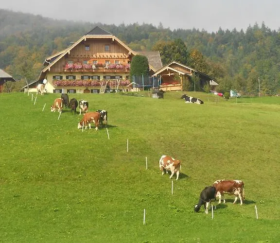 Paulbauer Gospodarstwo agroturystyczne *