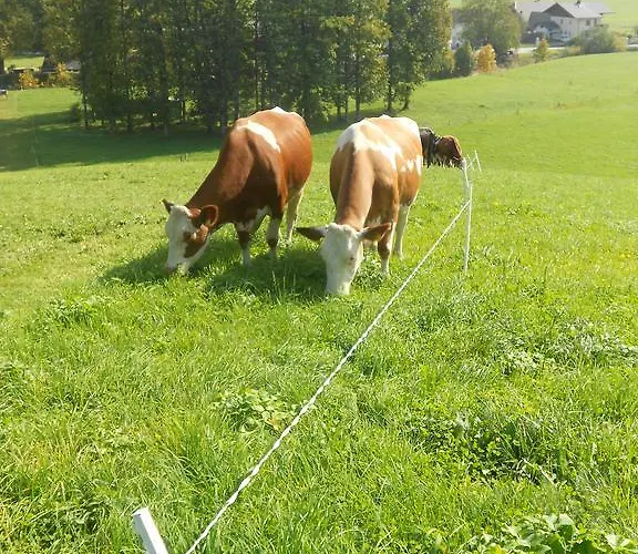 Paulbauer Gospodarstwo agroturystyczne