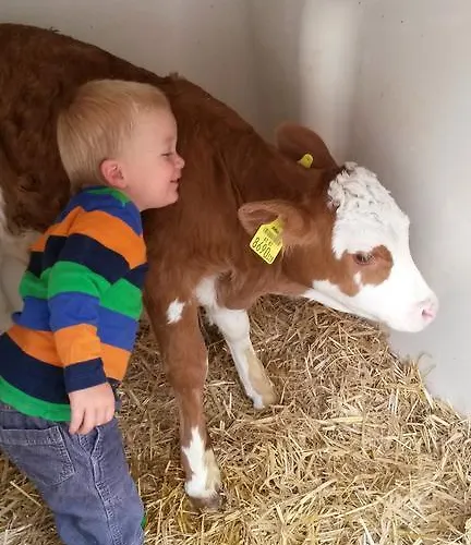 Paulbauer Gospodarstwo agroturystyczne